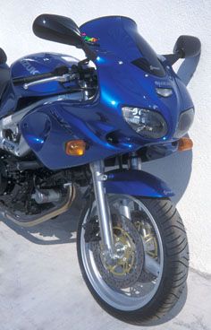 high protection screen ermax for SV 650 S 99/2000 