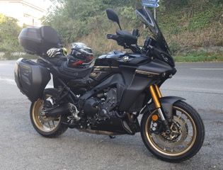 TRACER9GT TRACER9GT+ アルマックススクリーン ermax: product