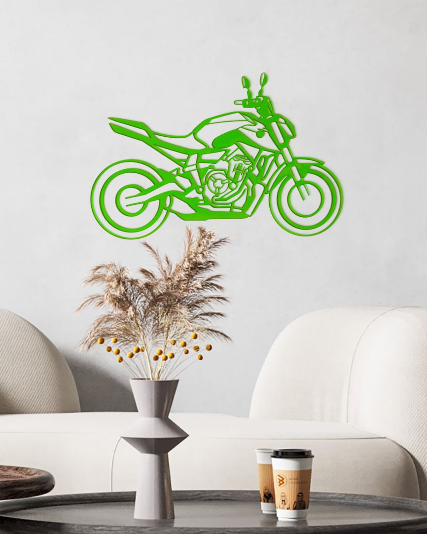 motorcycle plexiglass 500*350-Ep.3mm(découpe laser-bords polis ) 