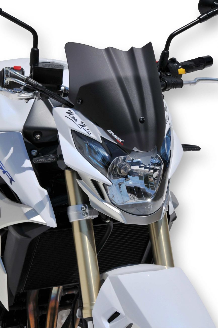 GSR750 スクリーン ヨーロッパメーカー